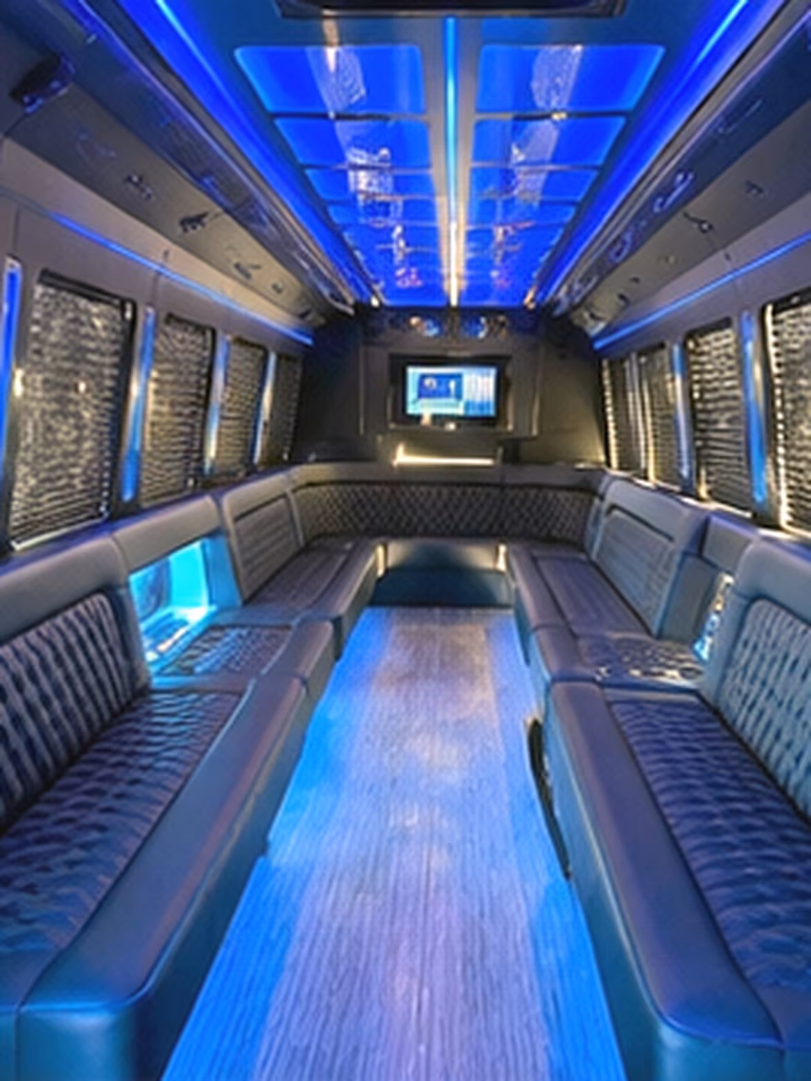 birthday party bus rental
