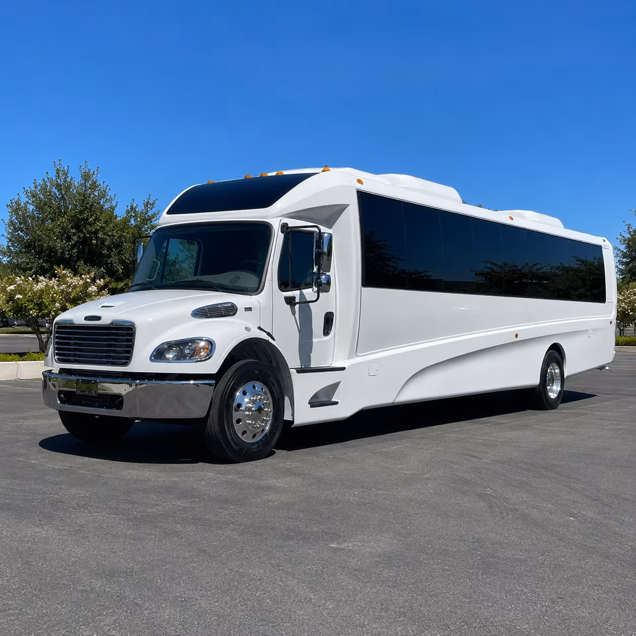 rialto 15 passenger minibus