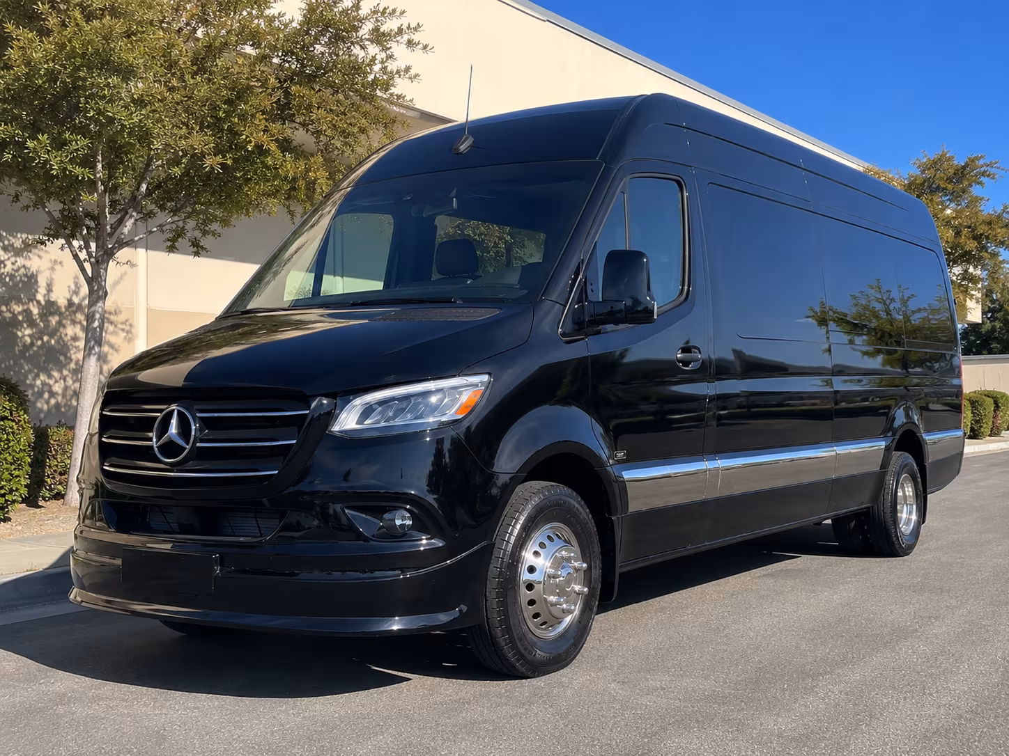 rialto sprinter van with driver